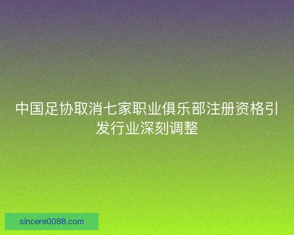中国足协取消七家职业俱乐部注册资格引发行业深刻调整